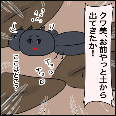 2430C8E3-D4EC-425D-B14C-E98729ED76C0