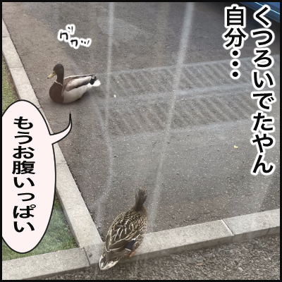 B3A3E944-9FFF-42F1-A1F2-1B65DA038E7B