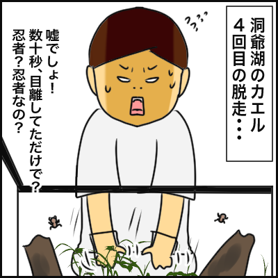 F09BBAC2-C856-4E46-B618-2937AF01DB1B