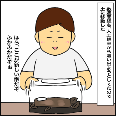 E8D04D78-6F74-41BD-B2EF-D269E753C11E
