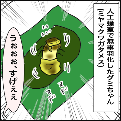 E056BBBC-5751-45ED-9438-9CE4DE0C4862