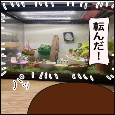 1F6022F6-DF72-41DD-B522-EAAE5708AD02