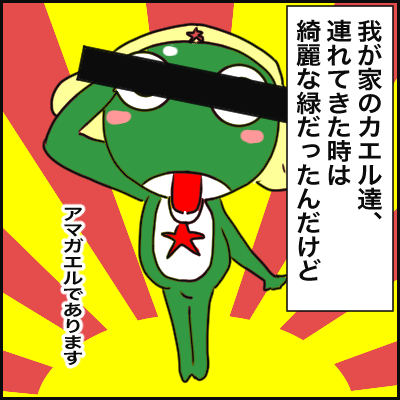 D61F33F5-9769-4540-BBF9-99E95A2FCDBA