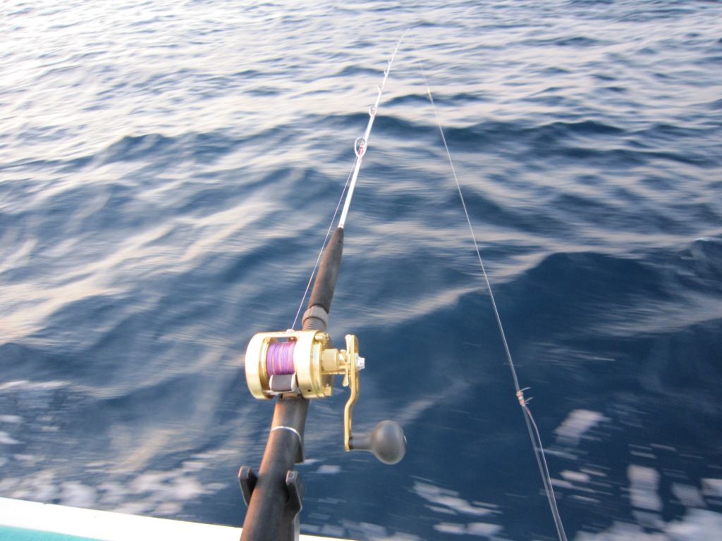 洲崎 北山丸 マハタ五目釣行記 天気は最高 釣果は りんりんパパの釣行 ぐるめ 生活日記