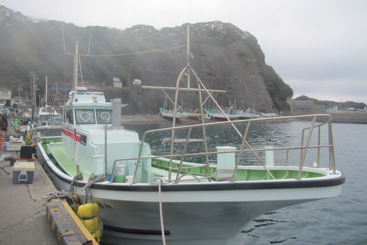 勝浦 初栄丸 サバヤリ釣行記 勝浦沖にヤリイカが来ましたおぉ りんりんパパの釣行 ぐるめ 生活日記