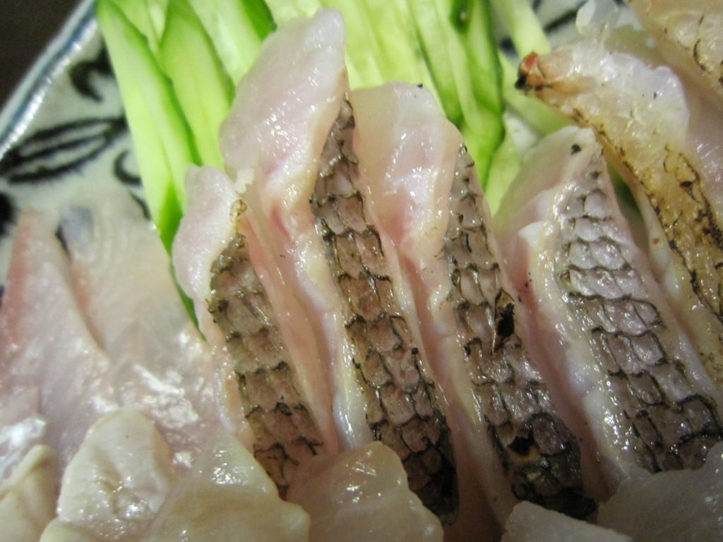 シロムツ料理 刺身と炙り こいつは旨めぇ りんりんパパの釣行 ぐるめ 生活日記 シロムツ料理 刺身と炙り こいつは旨めぇ りんりんパパの釣行 ぐるめ 生活日記