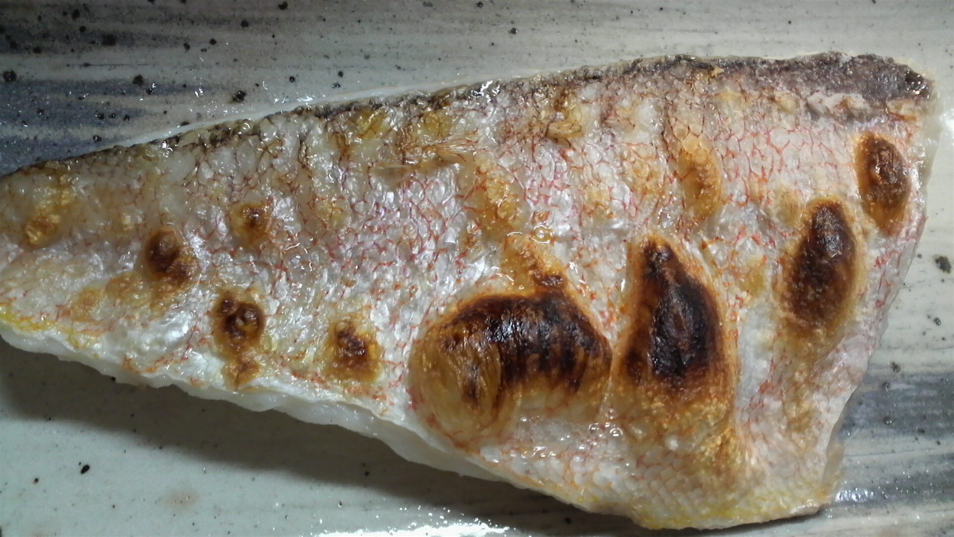 小田原 富三丸 隠徳丸 アマダイ釣行記 料理編 りんりんパパの釣行 ぐるめ 生活日記