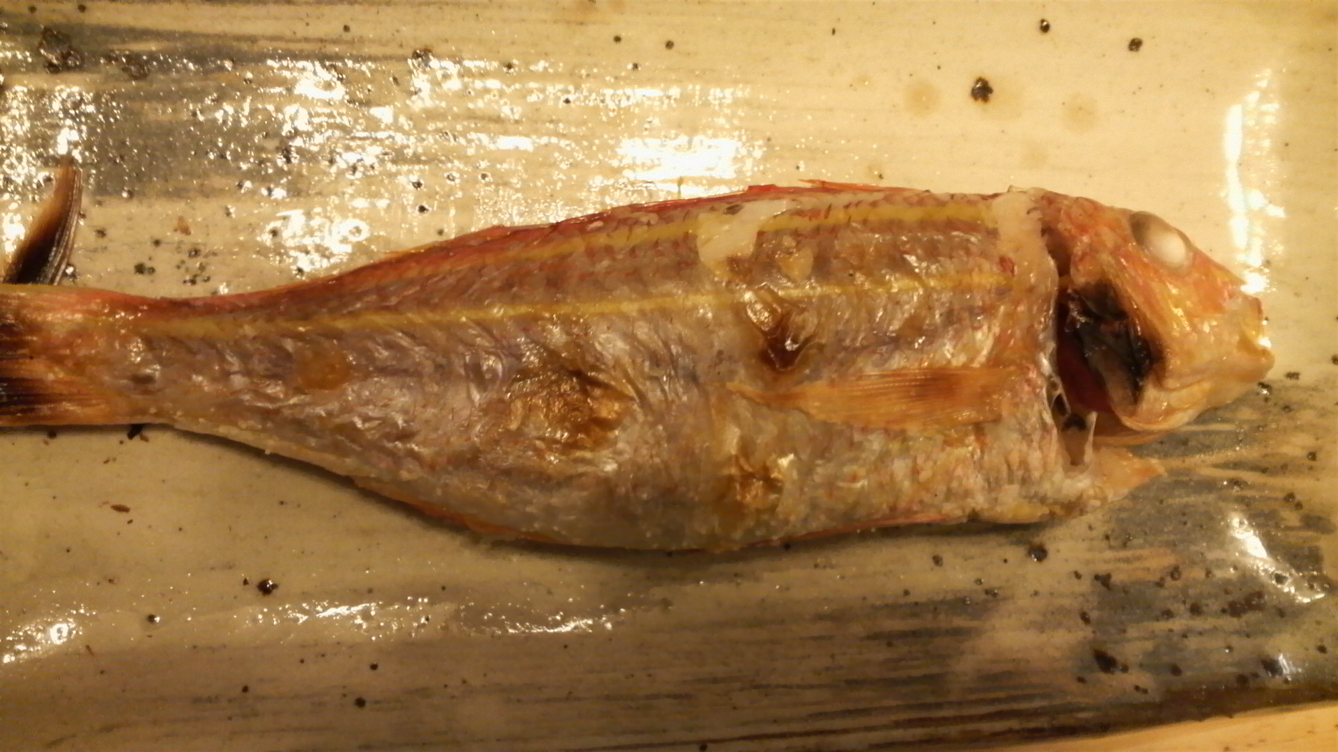 小田原 富三丸 隠徳丸 アマダイ釣行記 料理編 りんりんパパの釣行 ぐるめ 生活日記