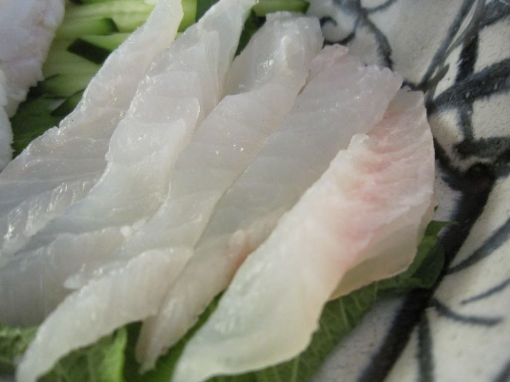 ハタ料理 初めて食べるキジハタ りんりんパパの釣行 ぐるめ 生活日記