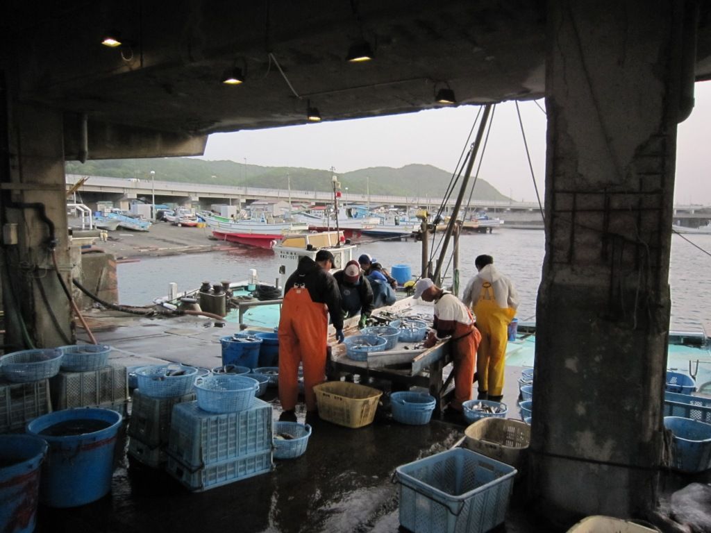 大磯 恒丸 ビシアジ釣行記 超久々の瀬の海アジ りんりんパパの釣行 ぐるめ 生活日記 大磯 恒丸 ビシアジ釣行記 超久々の瀬の海アジ りんりんパパの釣行 ぐるめ 生活日記