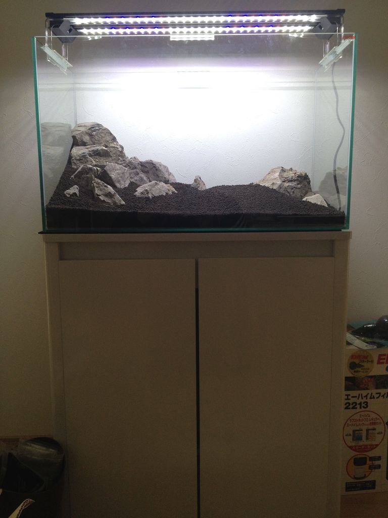 風山石サイズミックス10kgを使って石組みしてみる 水槽にやったことを忘れないように書いておくブログ
