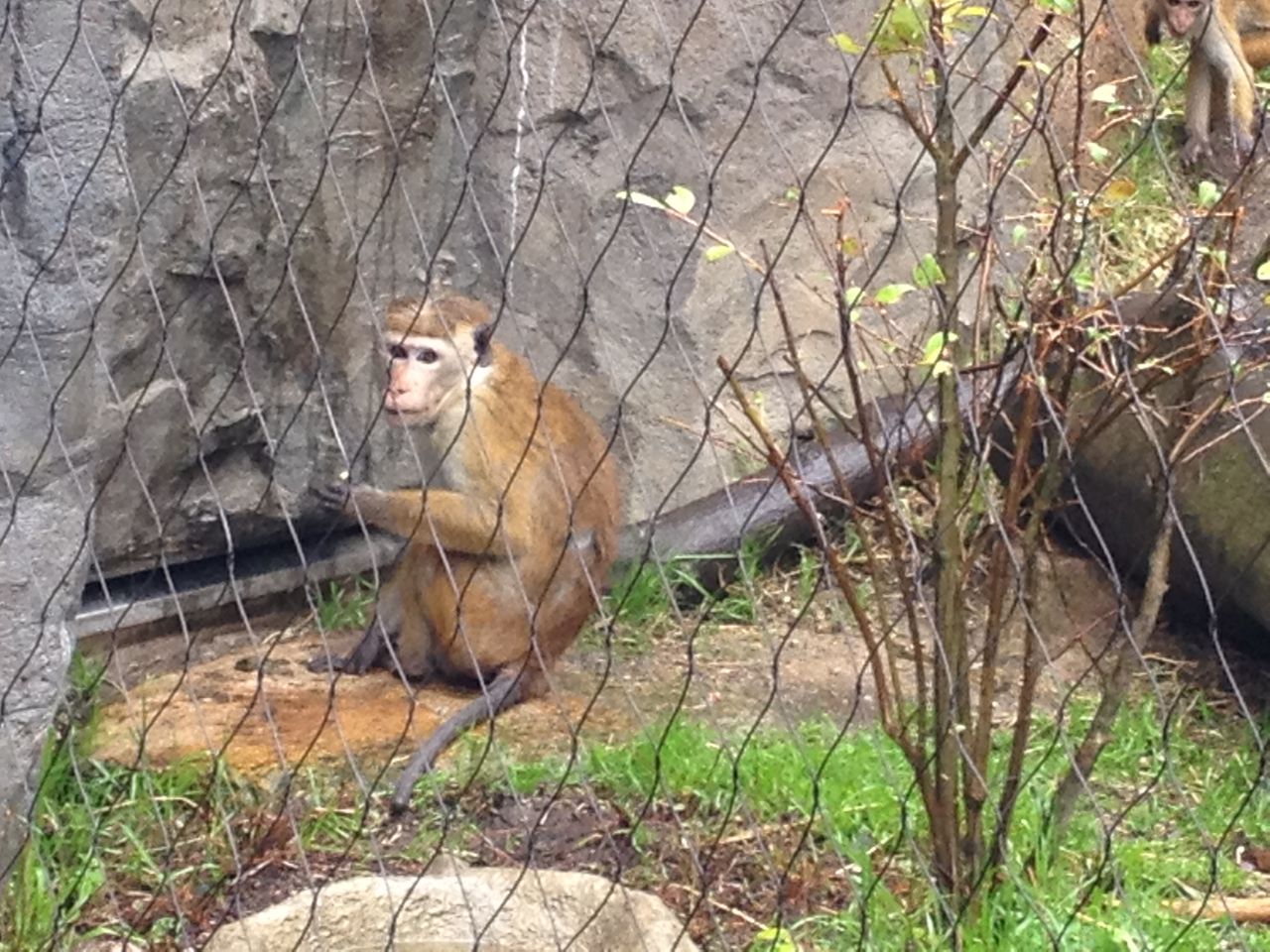 ときわ動物園に行って来た 水槽にやったことを忘れないように書いておくブログ