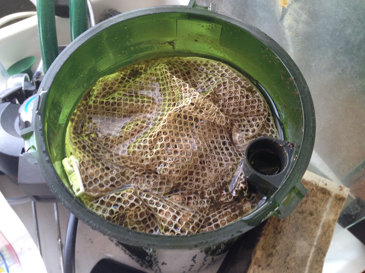 エーハイムアクアコンパクト２００５のろ材清掃 水槽にやったことを忘れないように書いておくブログ