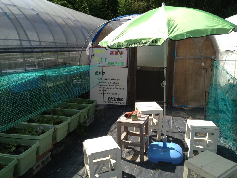 めだか小屋に行ってきた(後編) : 水槽にやったことを忘れないように