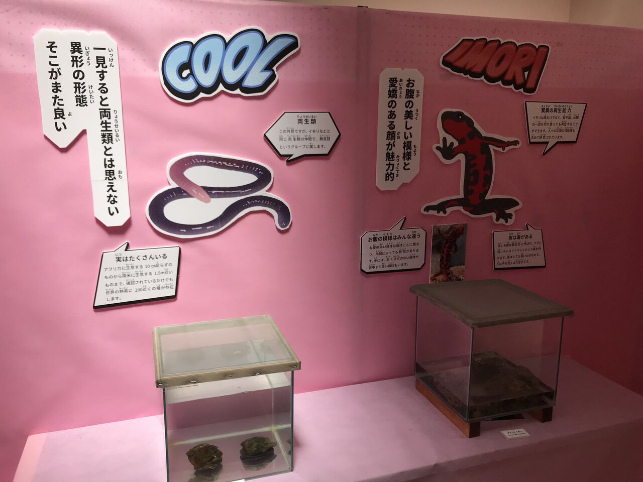 周南市徳山動物園「キモイ?カワイイ?キモ・カワ展」に行ってきた : 水槽にやったことを忘れないように書いておくブログ
