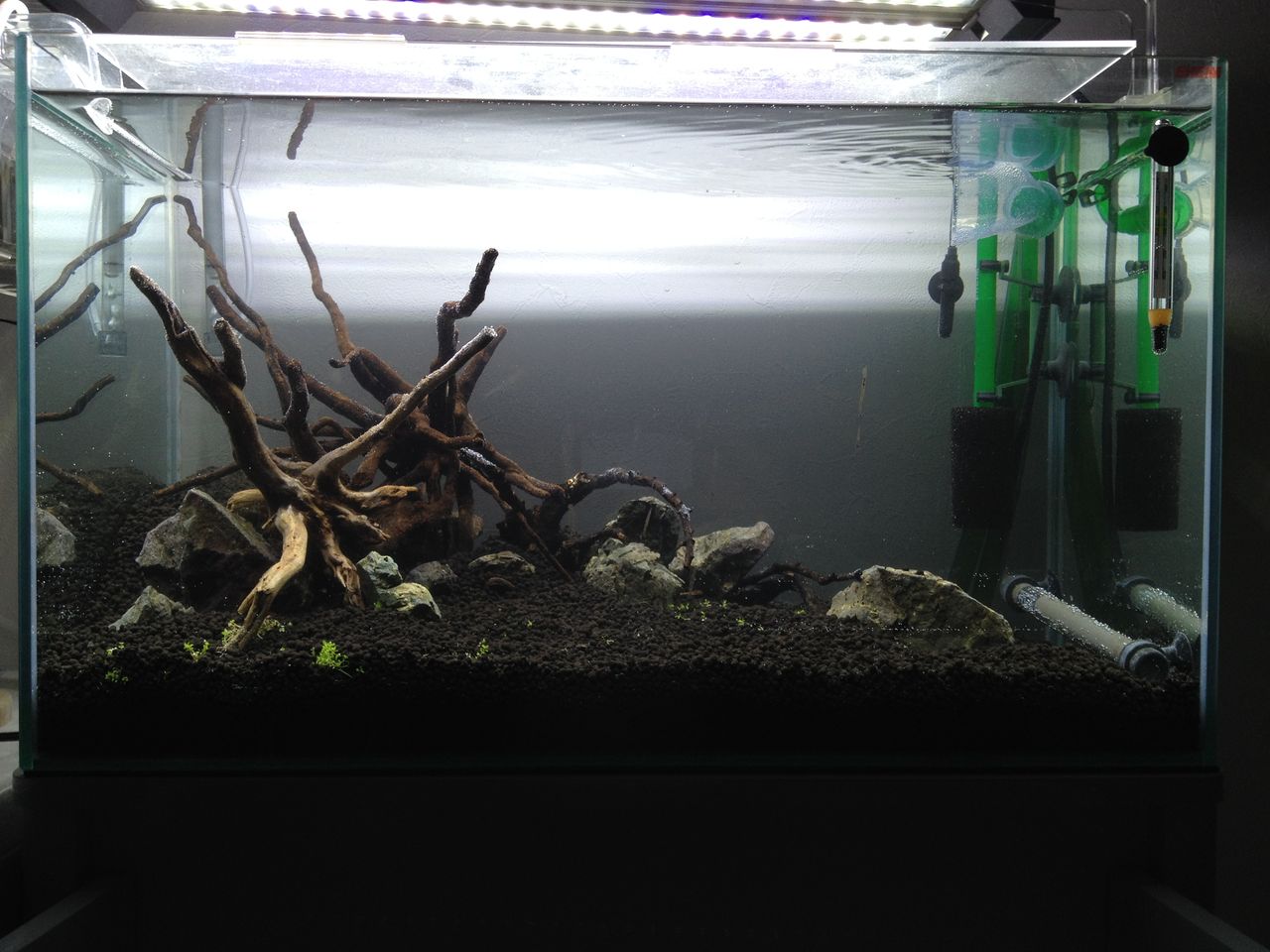 やっと水槽をリセットして立ち上げる 後編 水槽にやったことを忘れないように書いておくブログ