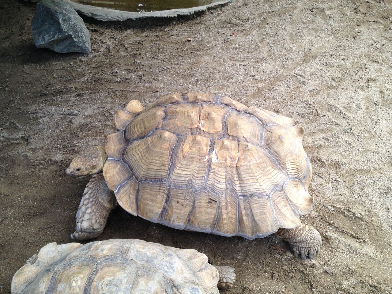 周南市徳山動物園に行ってきた 前編 水槽にやったことを忘れないように書いておくブログ
