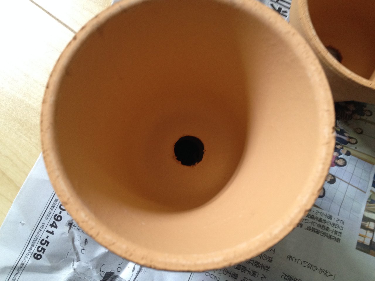 水草水上栽培水槽を立ち上げる 後編 水槽にやったことを忘れないように書いておくブログ