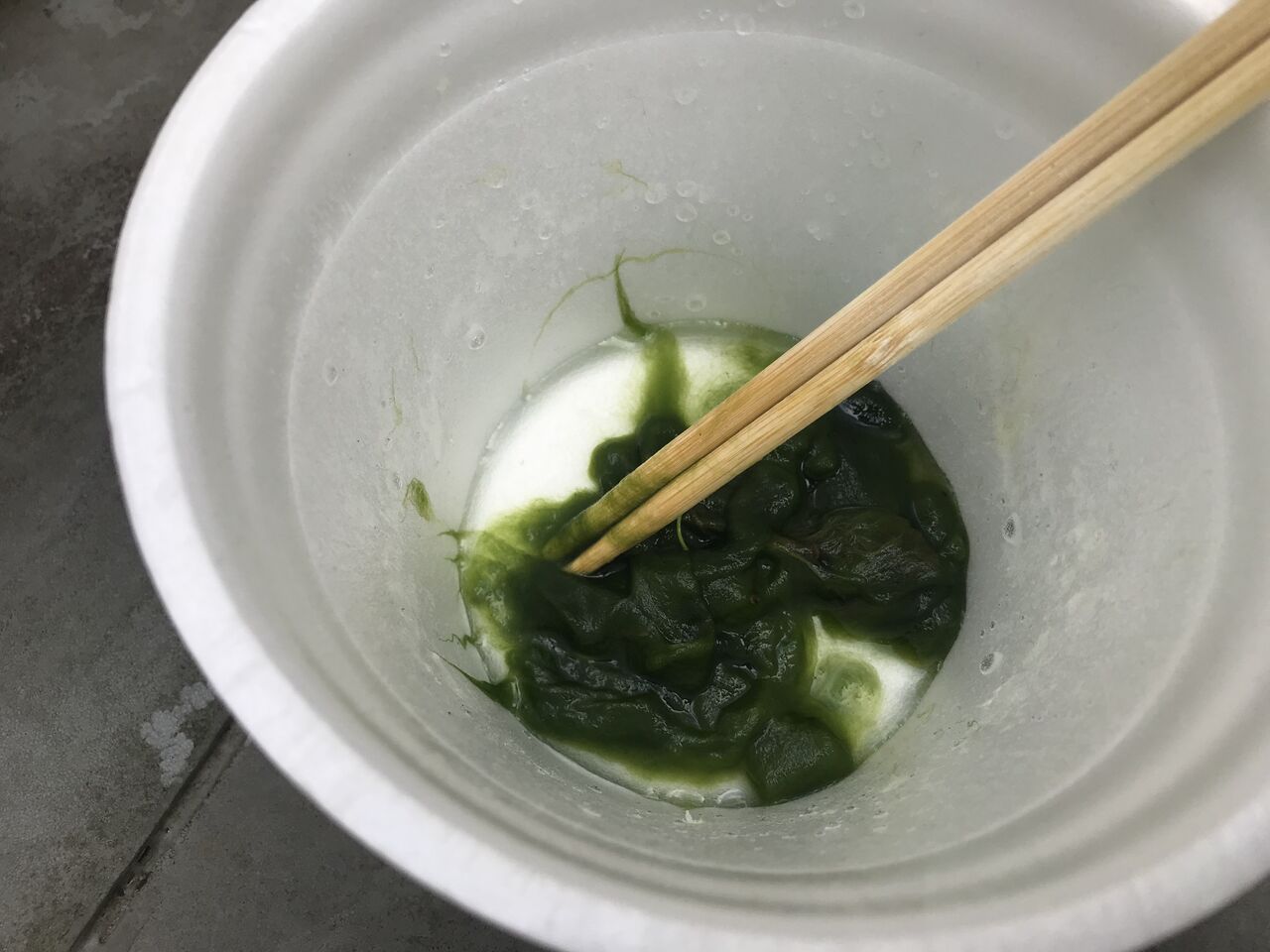 メダカ鉢にタニシを迎え入れる 水槽にやったことを忘れないように書いておくブログ メダカ鉢にタニシを迎え入れる 水槽にやったことを忘れないように書いておくブログ