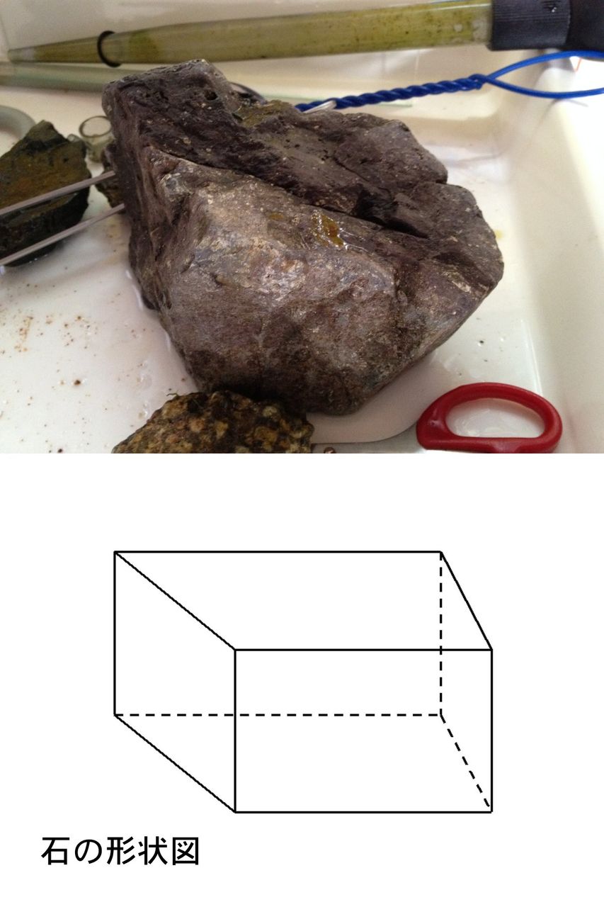 ウイローモスを石に巻き付けてみる ウイローモスの活着１ 水槽にやったことを忘れないように書いておくブログ