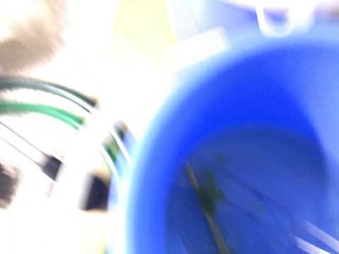 023