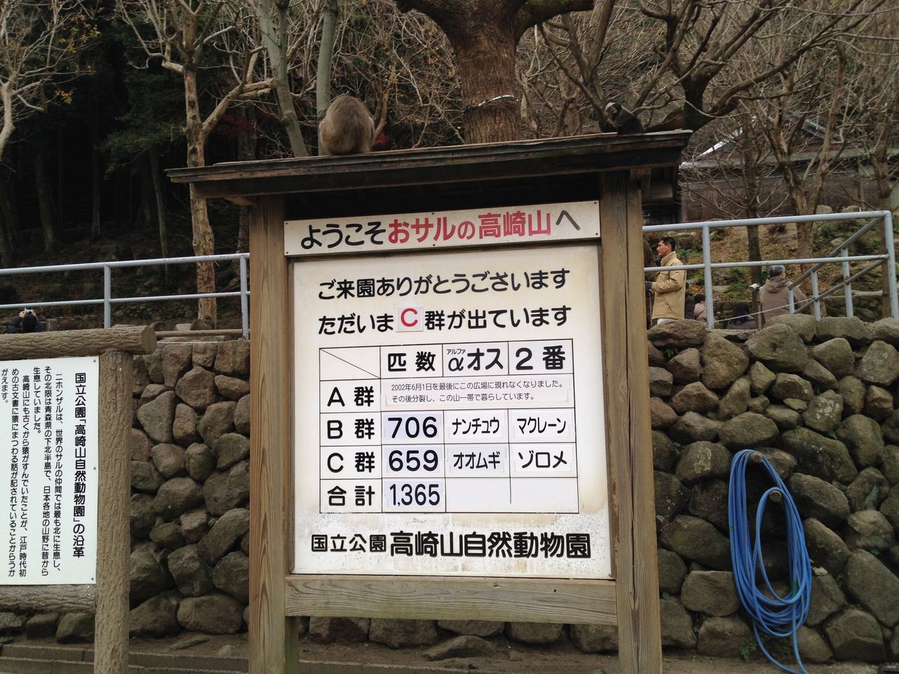 国立公園高崎山自然動物園のサルたちとふれあう 水槽にやったことを忘れないように書いておくブログ 国立公園高崎山自然動物園のサルたちとふれあう 水槽にやったことを忘れないように書いておくブログ
