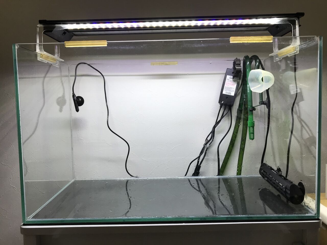 エンゼル水槽をベアタンクにする 水槽にやったことを忘れないように書いておくブログ エンゼル水槽をベアタンクにする 水槽にやったことを忘れないように書いておくブログ