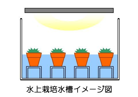 水草水上栽培水槽を立ち上げる 前編 水槽にやったことを忘れないように書いておくブログ