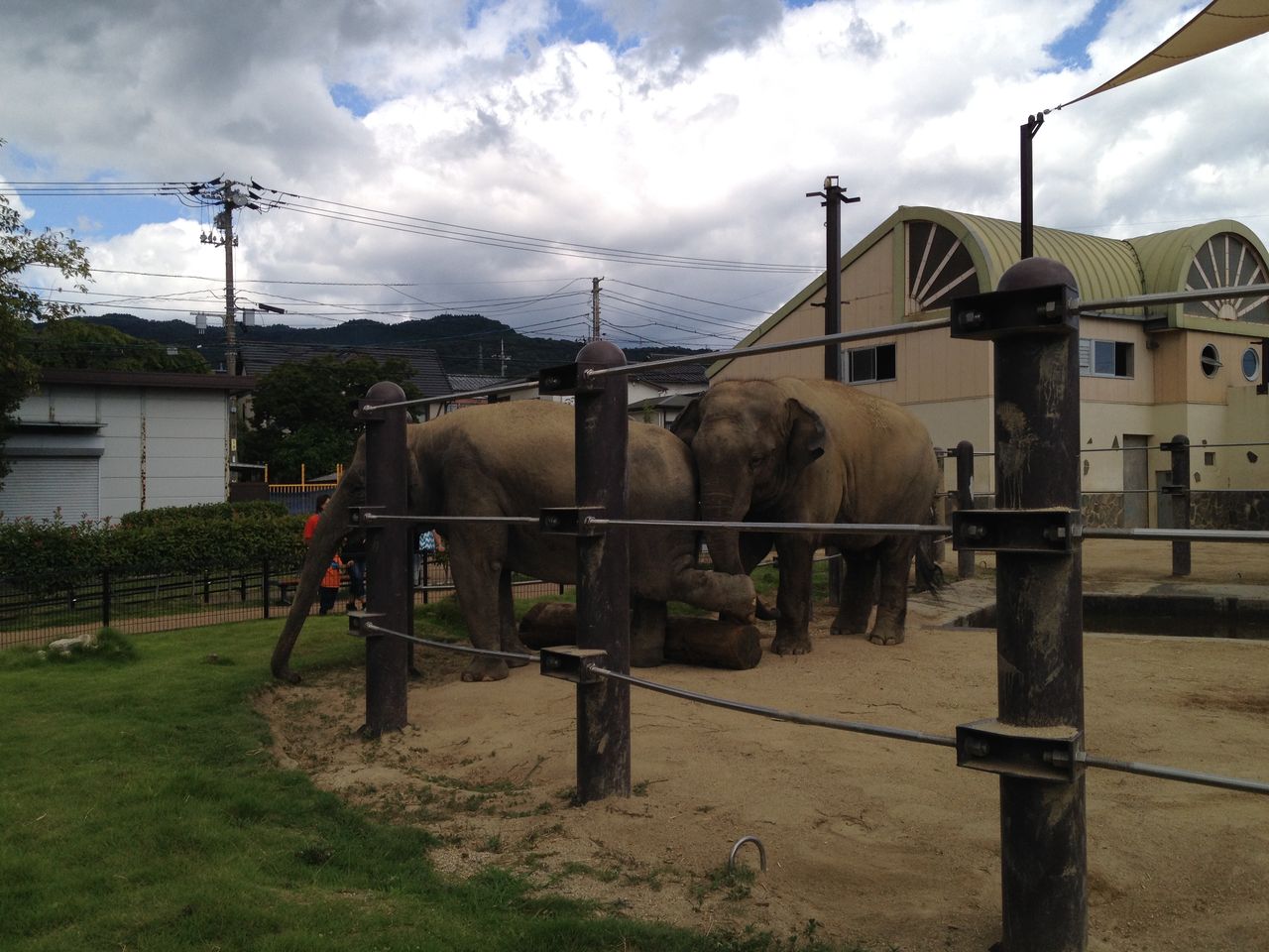 周南市徳山動物園 きて みて さわって うんこ展 に行ってきた 後編 水槽にやったことを忘れないように書いておくブログ