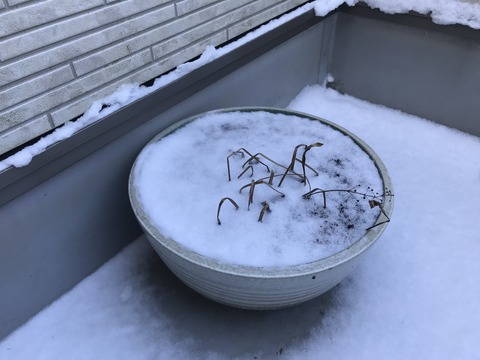 009