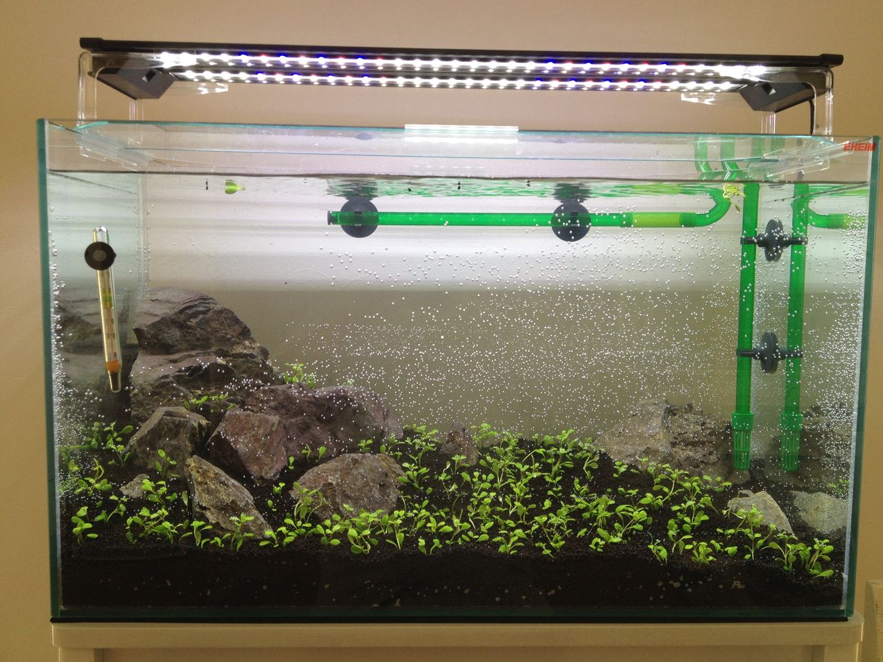 即決希望　　エーハイム2213 ブラック　60センチ水草水槽セット　保証書あり 即決希望 エーハイム2213 ブラック 60センチ水草水槽セット 保証書あり