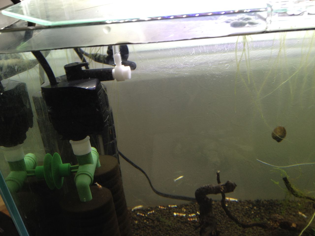 簡単接続アダプターでｇｅｘとテトラを一つにする 水槽にやったことを忘れないように書いておくブログ