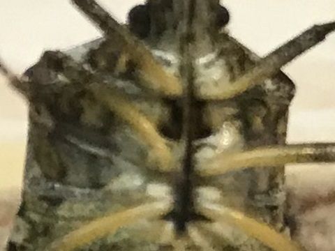 IMG_0666^^^