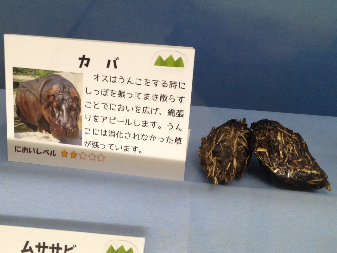 周南市徳山動物園 きて みて さわって うんこ展 に行ってきた 後編 水槽にやったことを忘れないように書いておくブログ 周南市徳山動物園 きて みて さわって うんこ展 に行ってきた 後編 水槽にやったことを忘れないように書いておくブログ