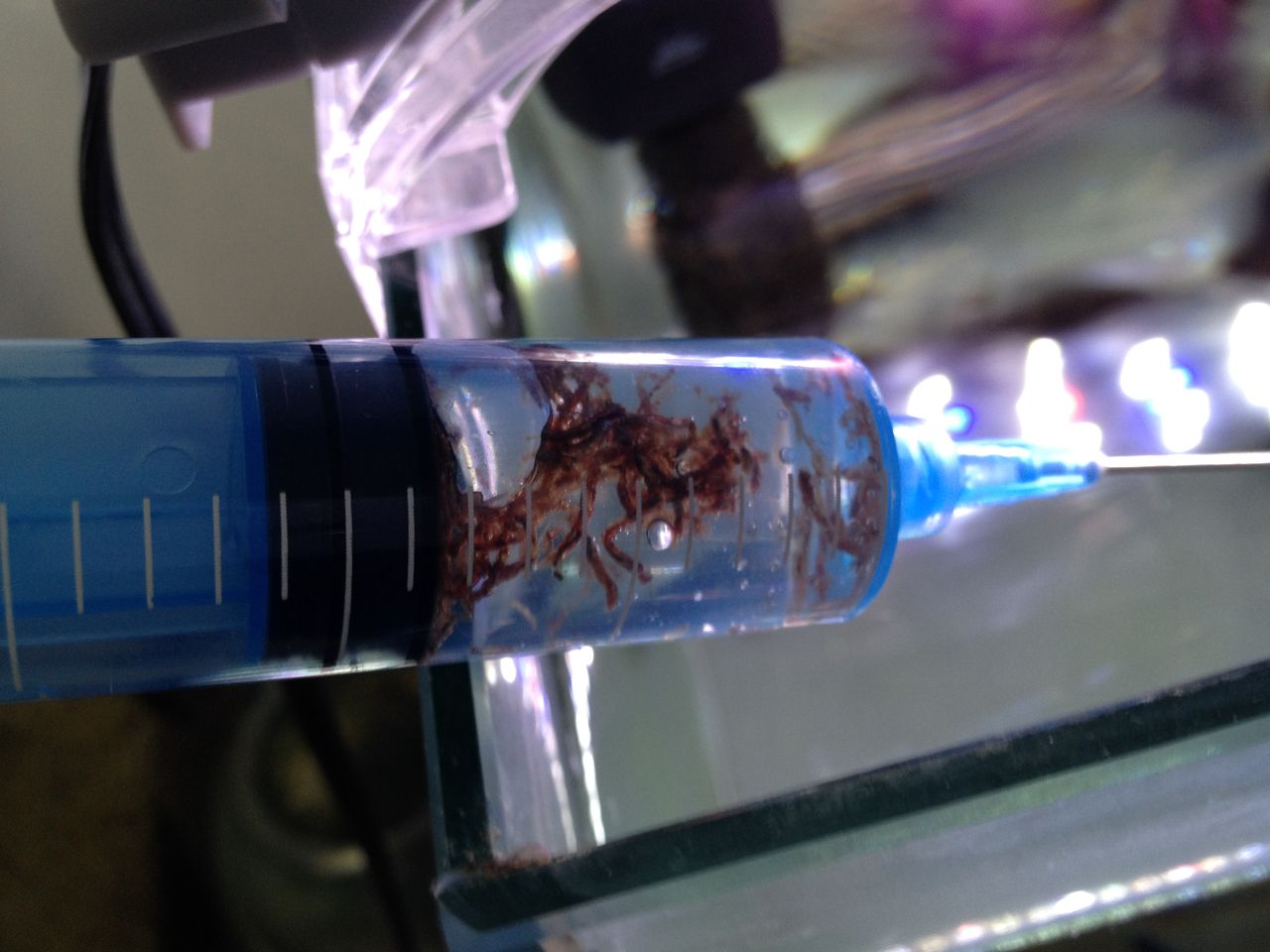 キョーリンひかりｆｄビタミン赤虫を水に沈めようとして失敗する 水槽にやったことを忘れないように書いておくブログ