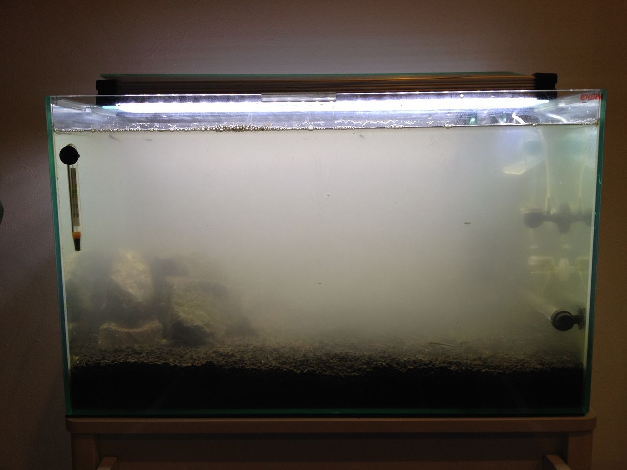 水槽を リスタート する 水槽にやったことを忘れないように書いておくブログ 水槽を リスタート する 水槽にやったことを忘れないように書いておくブログ