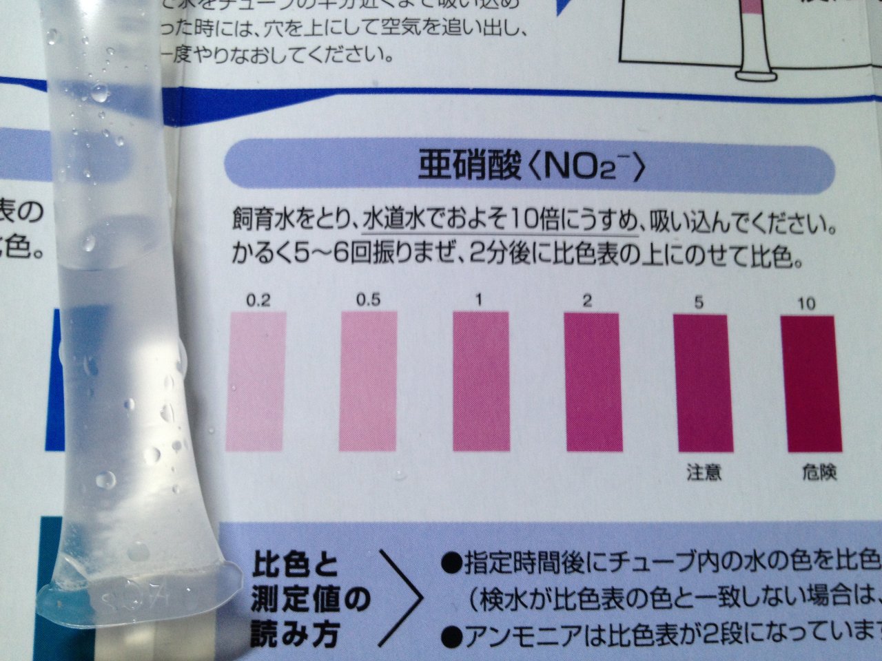 栄養系ソイルを使った底面ろ過水槽立ち上げの記録２ 水槽にやったことを忘れないように書いておくブログ