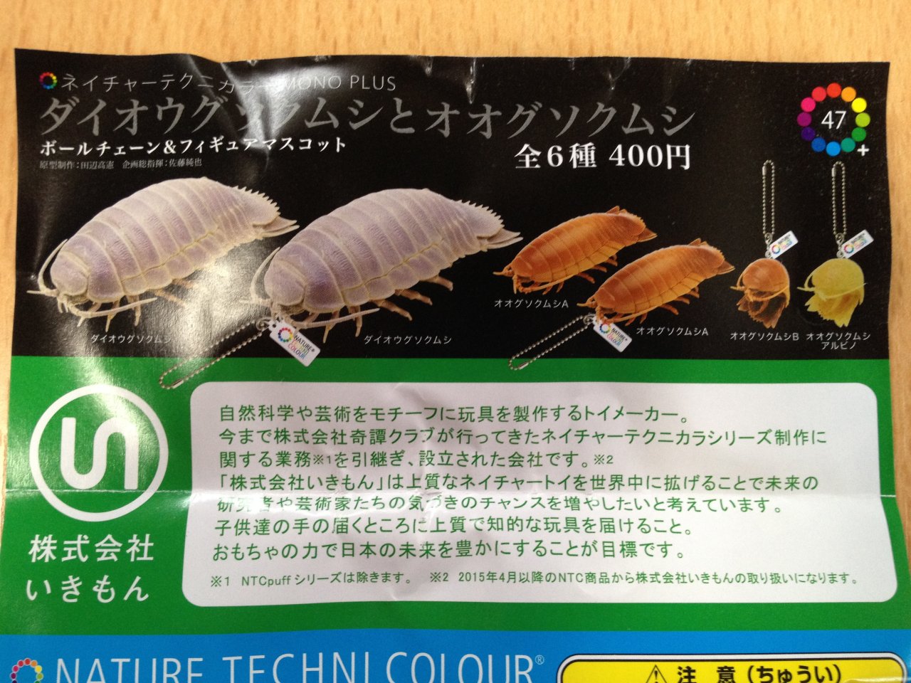 ダイオウグソクムシとオオグソクムシ を手に入れた 後編 水槽にやったことを忘れないように書いておくブログ