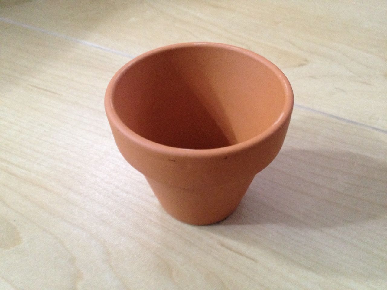 ぜいたく水草 ポット 100均 すべての美しい花の画像