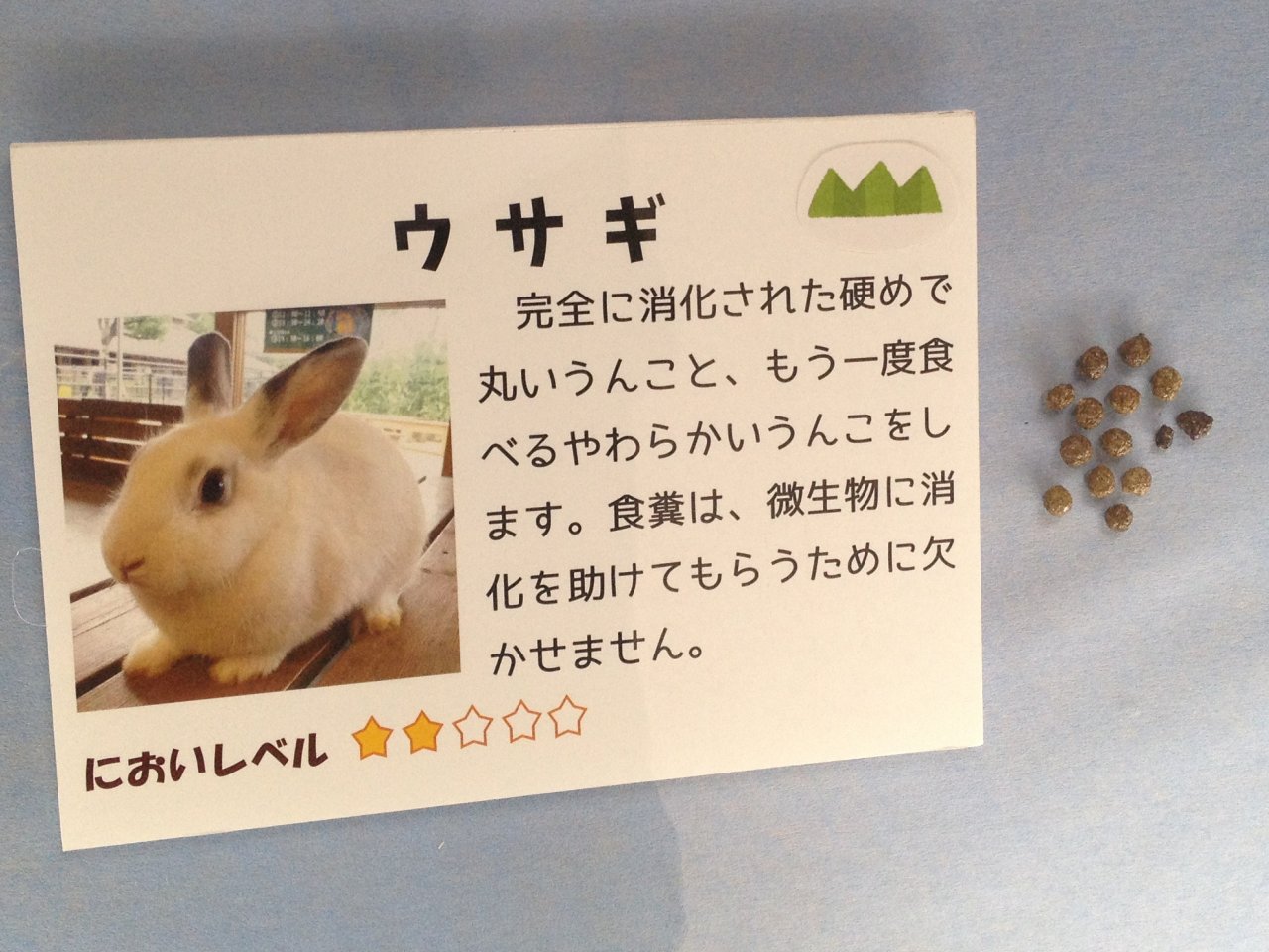 周南市徳山動物園 きて みて さわって うんこ展 に行ってきた 後編 水槽にやったことを忘れないように書いておくブログ 周南市徳山動物園 きて みて さわって うんこ展 に行ってきた 後編 水槽にやったことを忘れないように書いておくブログ