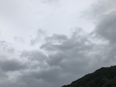 020