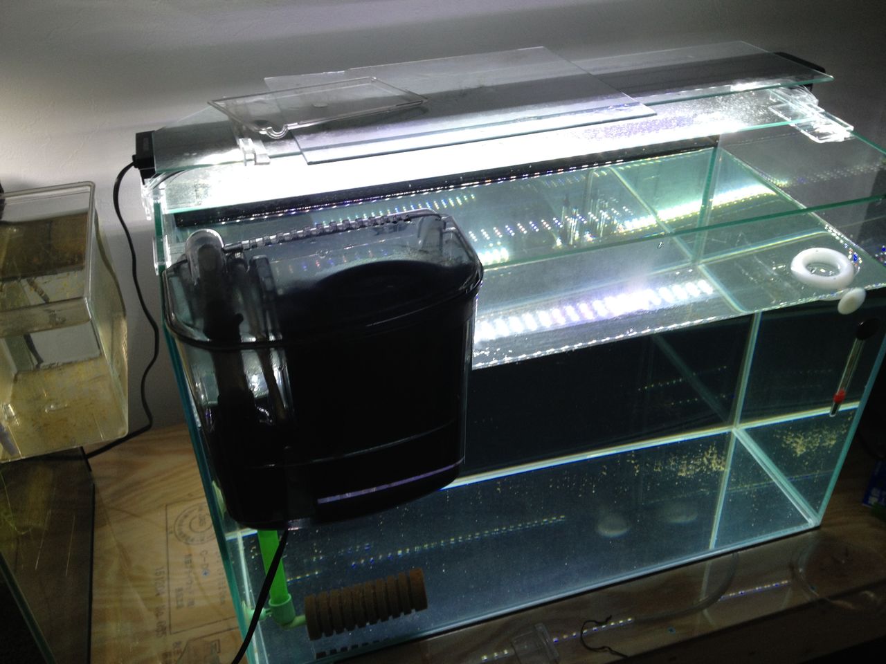 ろ過を止めて放置した水槽がえらいことになる 水槽にやったことを忘れないように書いておくブログ