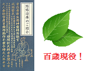 BlogPc100