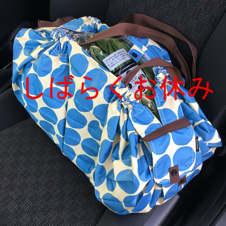 エコバッグはお休み
