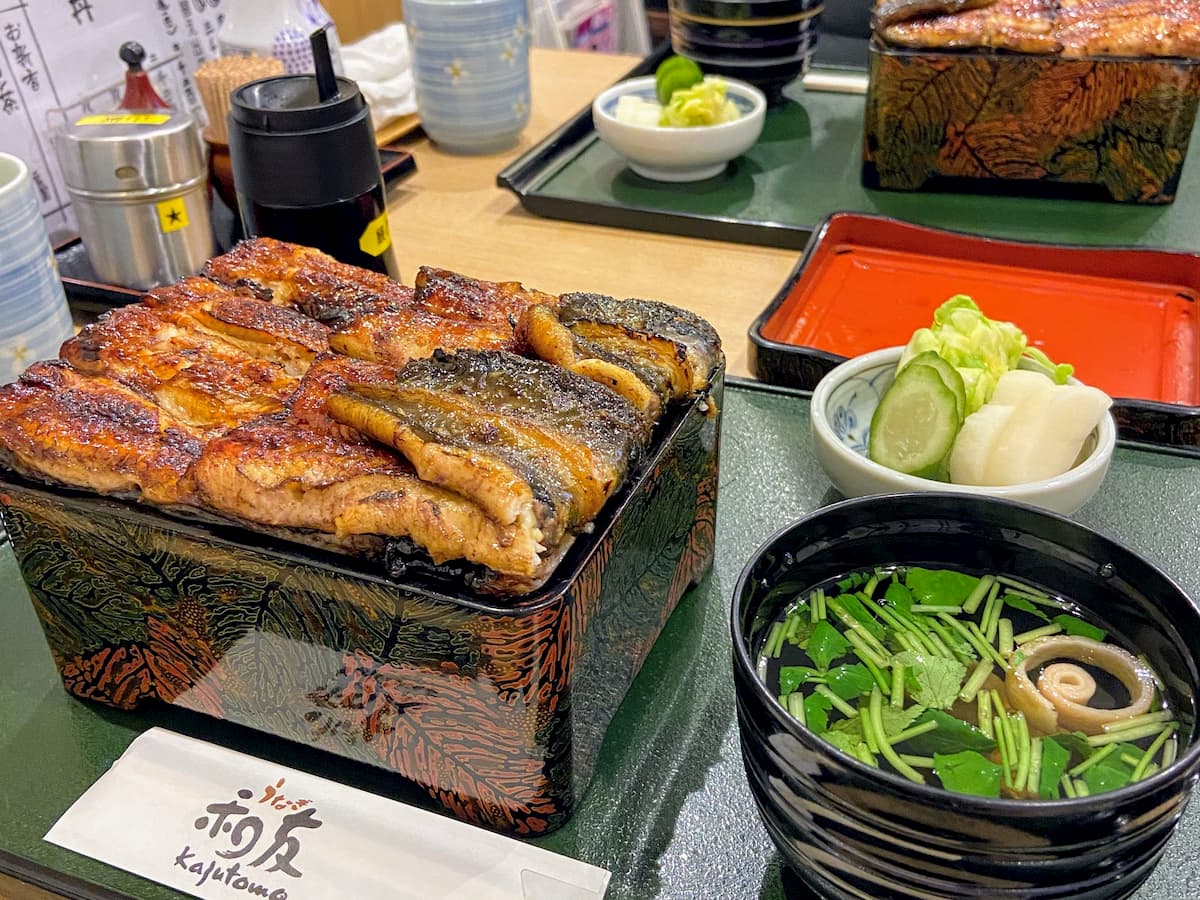 ウナギ