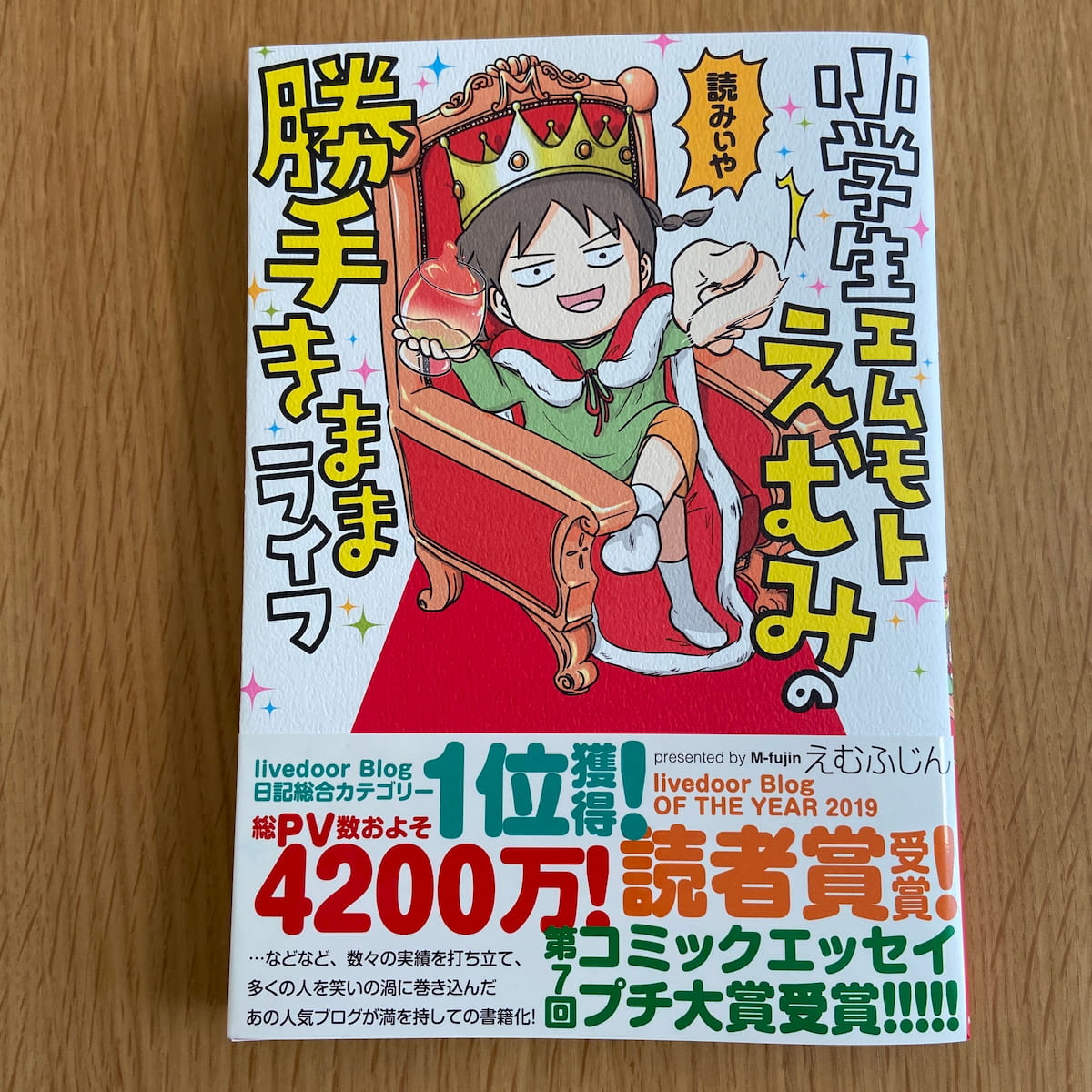 えむふじんさん本
