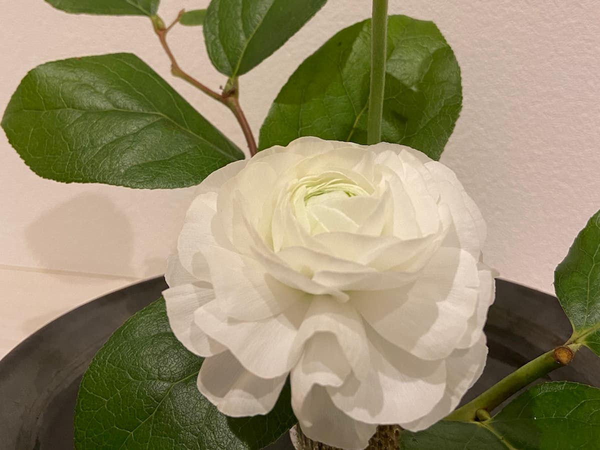 花のある暮らし