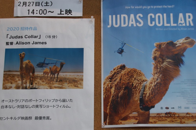 20210227161015_IMG_8894~2