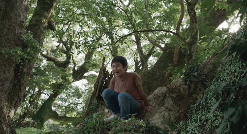 0メイン画像・日置市千本楠