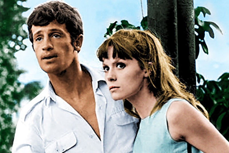 (メイン)リオの男